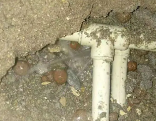 西工卫生间测漏