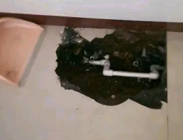 西工卫生间测漏水多少钱